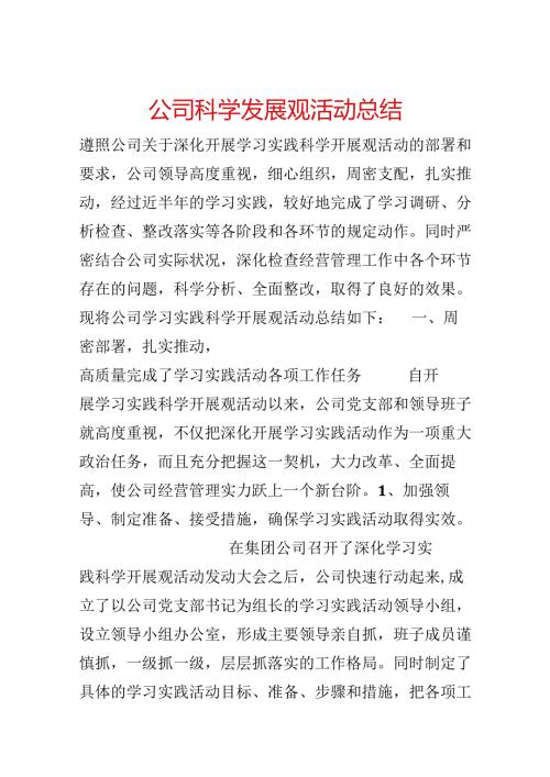 公司科学发展观活动总结.docx