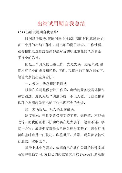 出纳试用期自我总结.docx