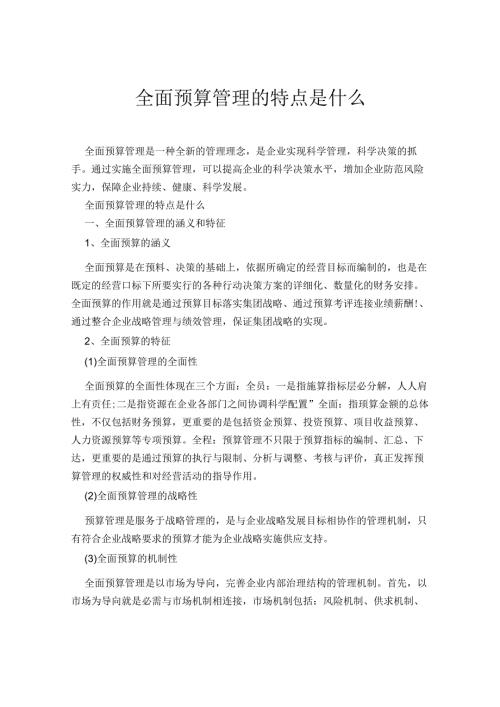 全面预算管理的特点是什么.docx
