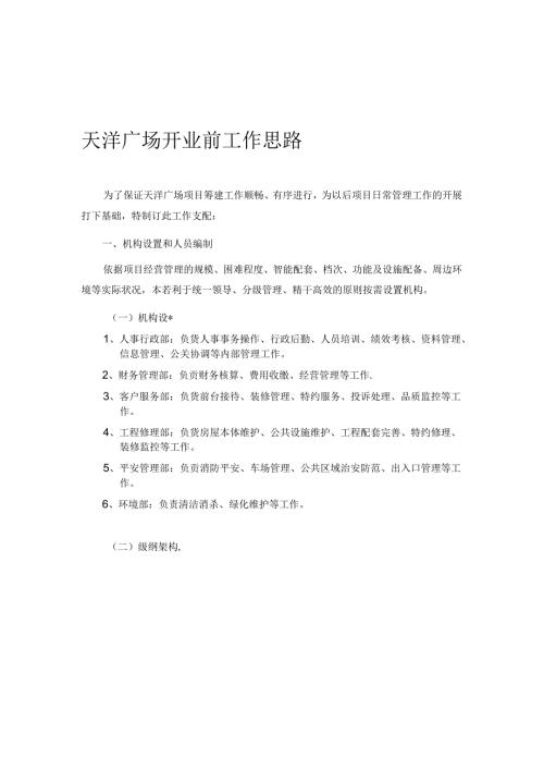 开业前工作思路.docx
