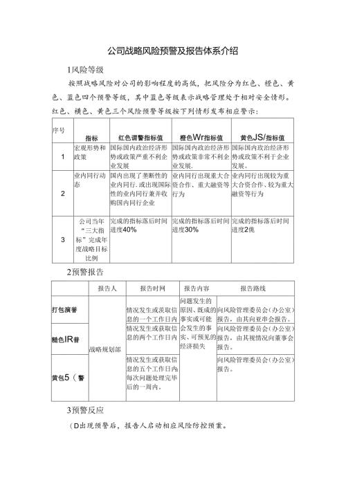 公司战略风险预警及报告体系介绍.docx