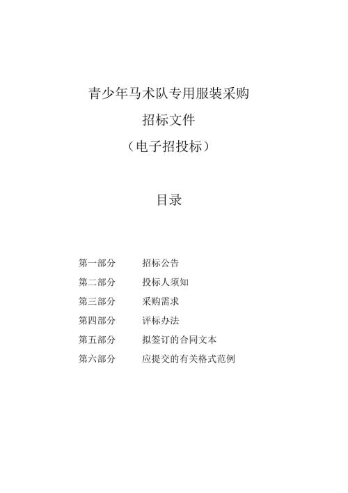 青少年马术队专用服装采购招标文件.docx