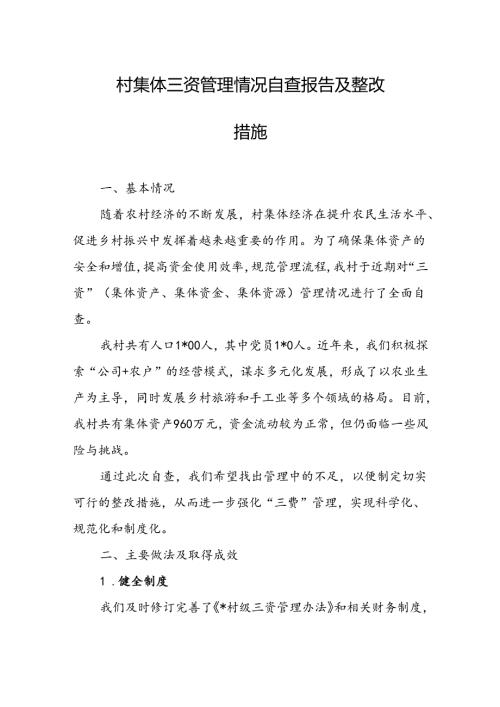 村集体三资管理情况自查报告及整改措施.docx