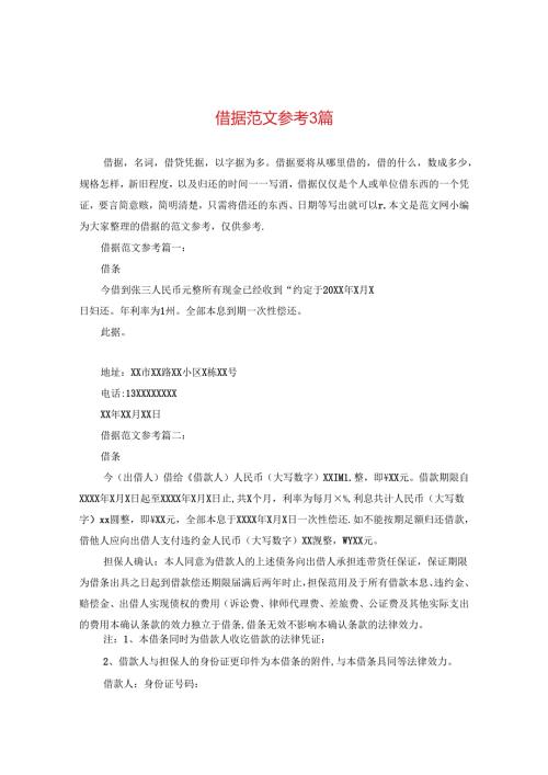 借据范文参考3篇.docx