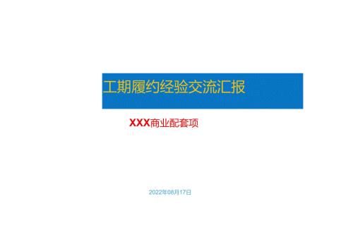 XX片区商业配套项目工期履约经验交流.docx