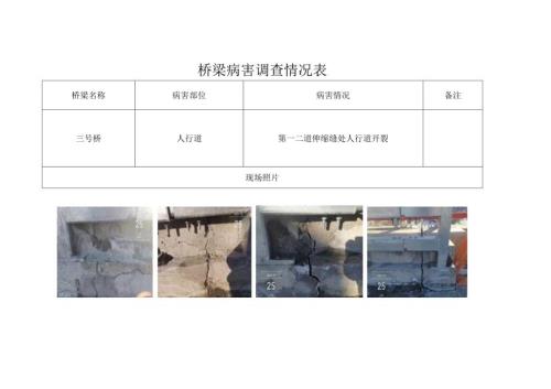 桥梁病害调查情况表.docx