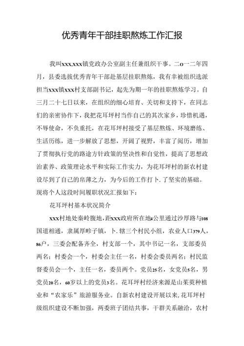 优秀青年干部挂职锻炼工作汇报.docx
