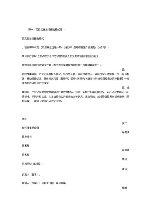 开发单位项目实施总结.docx