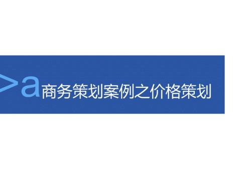 商务策划案例之价格策划.docx