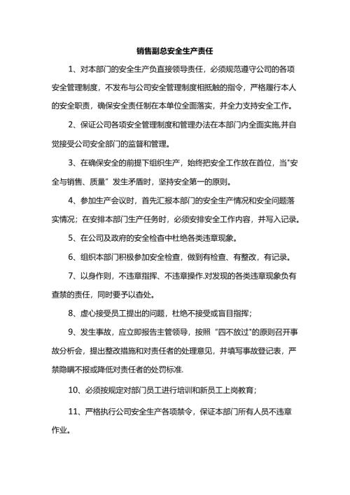 销售副总安全生产责任.docx