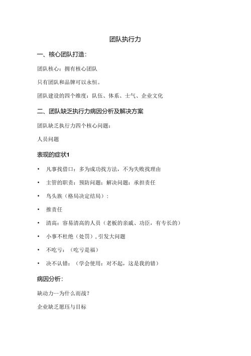 团队执行力范文.docx