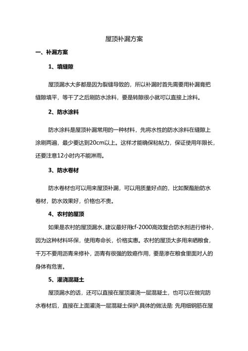 屋顶补漏方案.docx