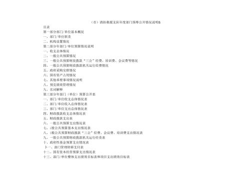 （市）消防救援支队年度部门预算公开情况说明书 范本.docx