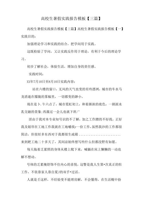 大学生暑假实践报告模板【三篇】.docx