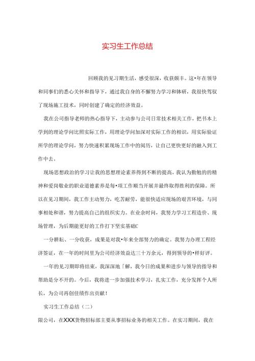 实习生工作总结.docx