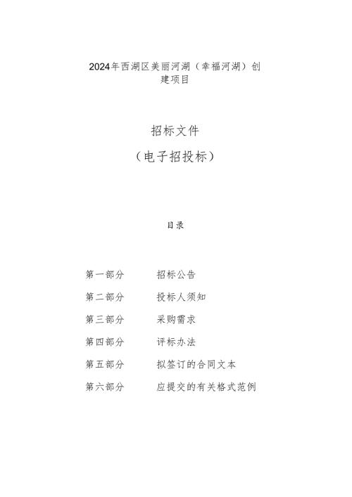 美丽河湖（幸福河湖）创建项目招标文件.docx