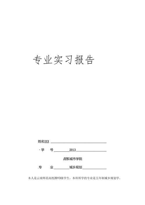 城乡规划专业实习报告.docx