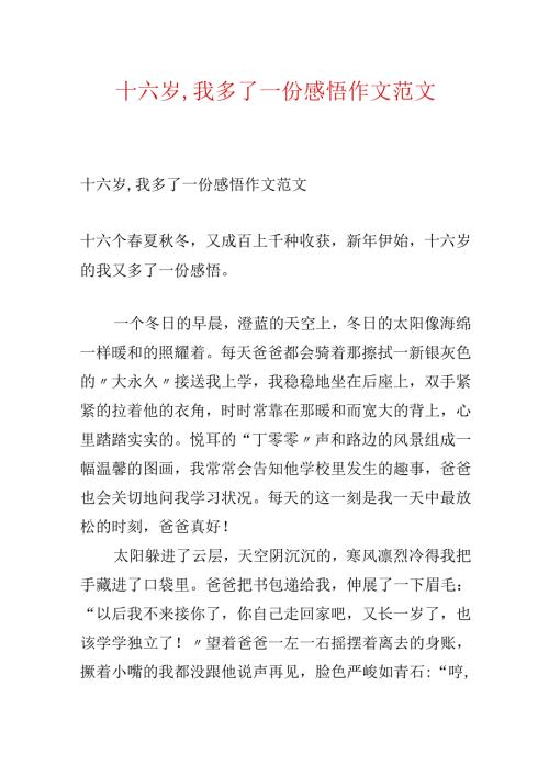 十六岁,我多了一份感悟作文范文.docx