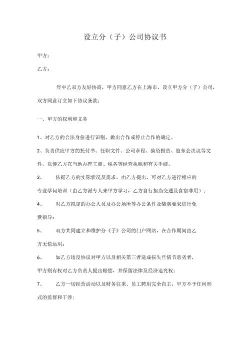 合作办理分子公司协议书.docx