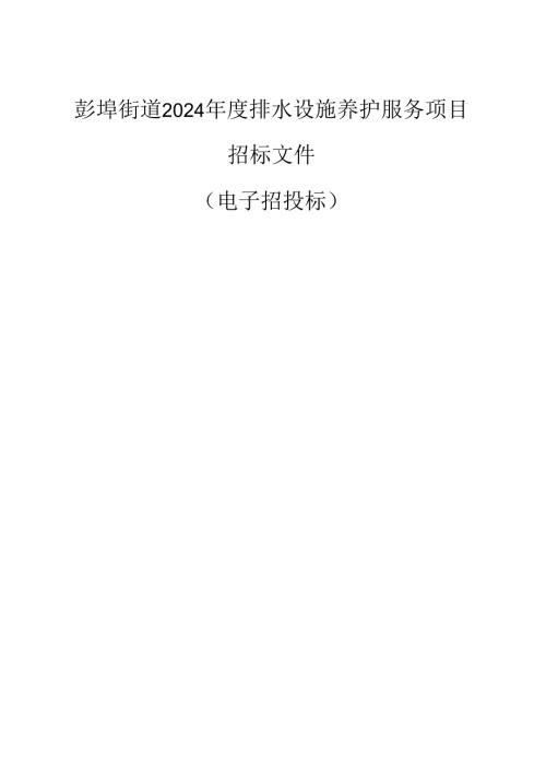 彭埠街道2024年度排水设施养护服务项目招标文件.docx