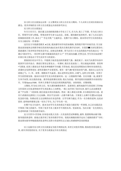 实习班主任自我鉴定.docx
