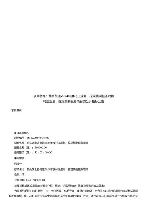 村庄规划、控规编制服务项目招标文件.docx