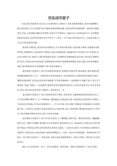 范文75：夯实城市里子范文.docx
