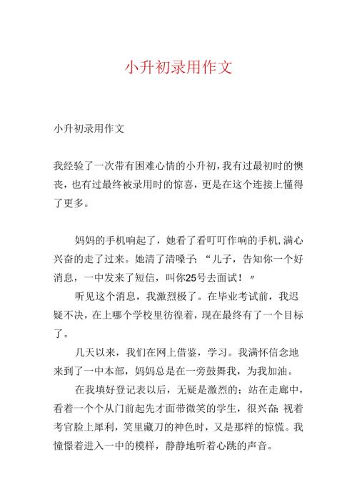 小升初录取作文.docx