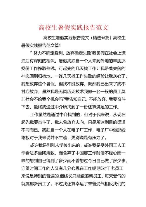 大学生暑假实践报告范文.docx
