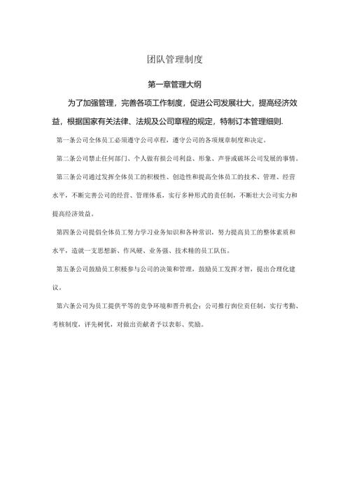 团队管理制度范文.docx