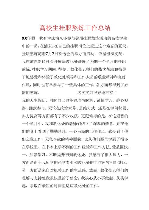 大学生挂职锻炼工作总结.docx