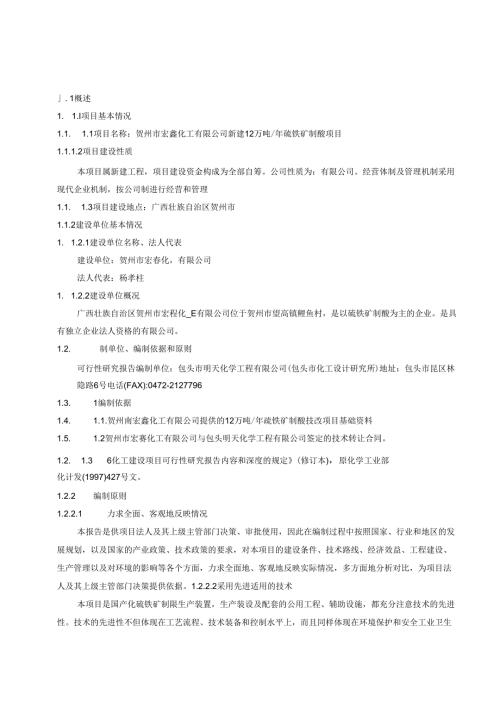 新建12万吨年硫铁矿制酸项目可行性研究报告.docx