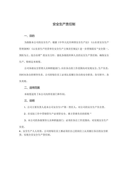 安全生产责任制.docx