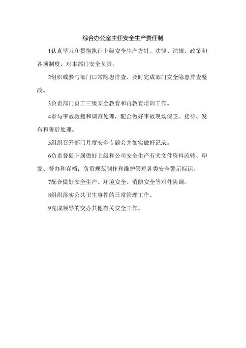 综合办公室主任安全生产责任制.docx