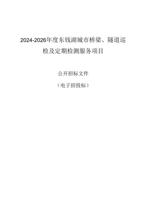 城市桥梁、隧道巡检及定期检测服务项目招标文件.docx