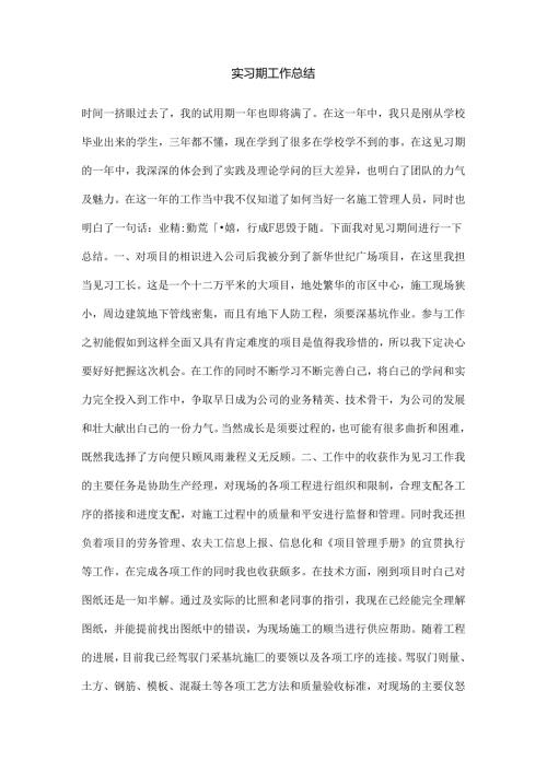 实习期工作总结.docx