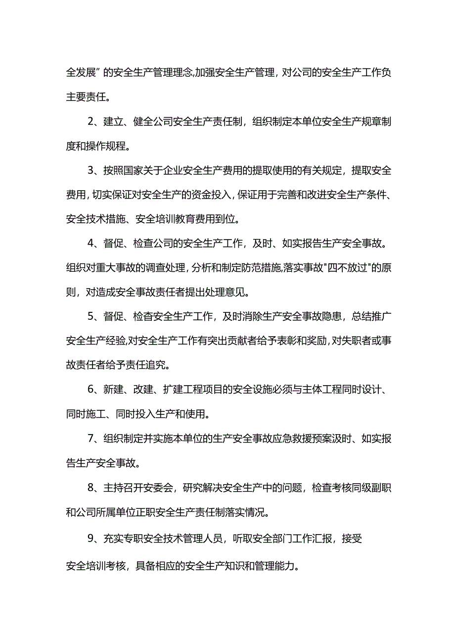 总经理安全生产责任.docx_第2页