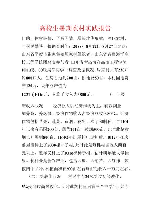 大学生暑期农村实践报告.docx