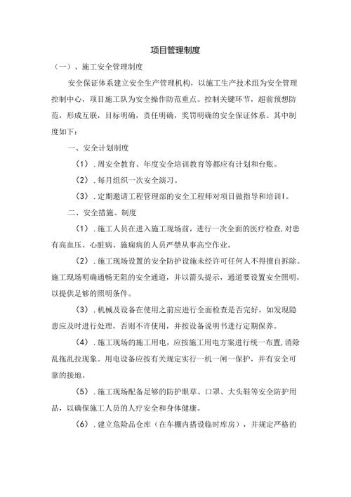项目管理制度.docx