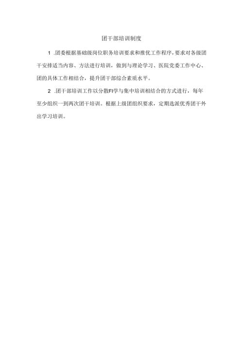 团干部培训制度.docx