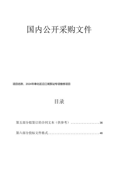 沿江闸泵站专项维修项目招标文件.docx