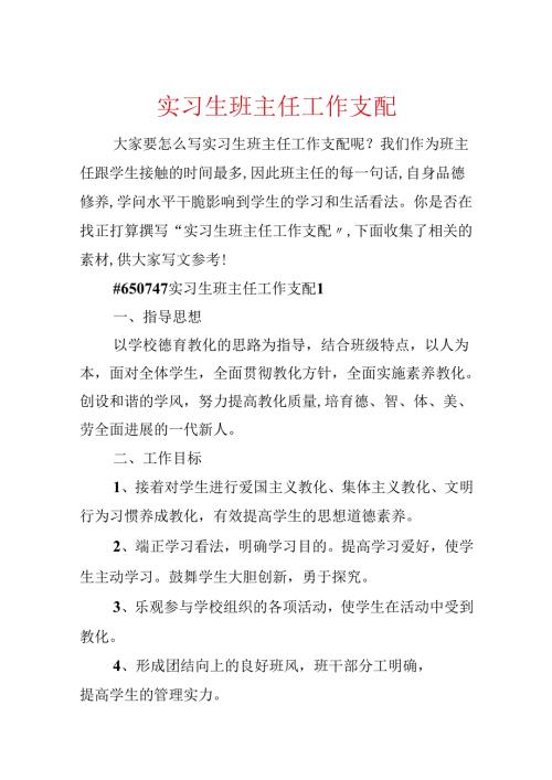 实习生班主任工作计划.docx
