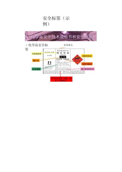 安全标签（示例）.docx