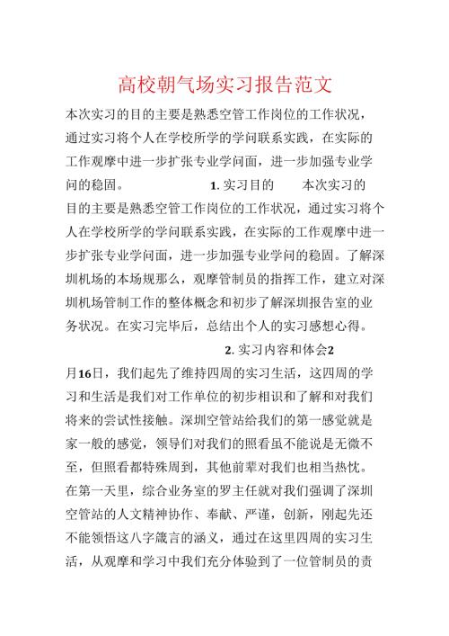 大学生机场实习报告范文.docx