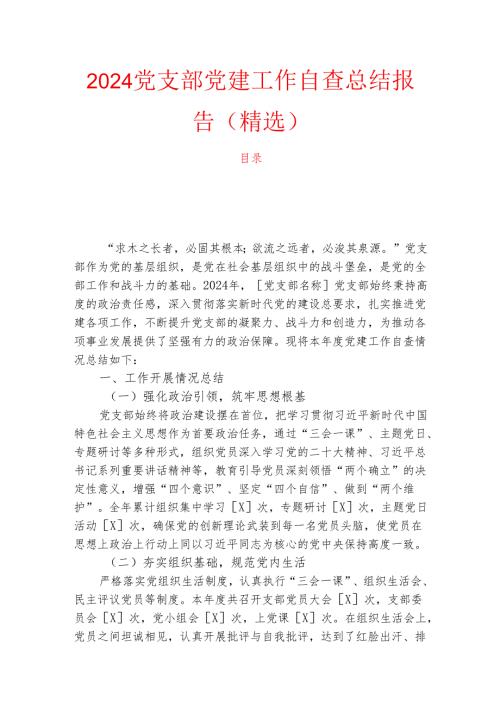 2024党支部党建工作自查总结报告（精选）.docx