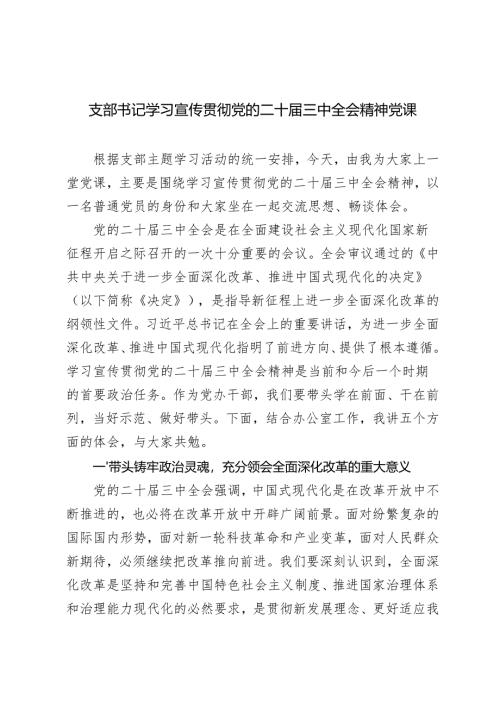 2024-2025年度支部书记学习宣传贯彻党的二十届三中全会精神党课讲稿.docx