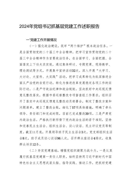 2024年党组书记抓基层党建工作述职报告.docx