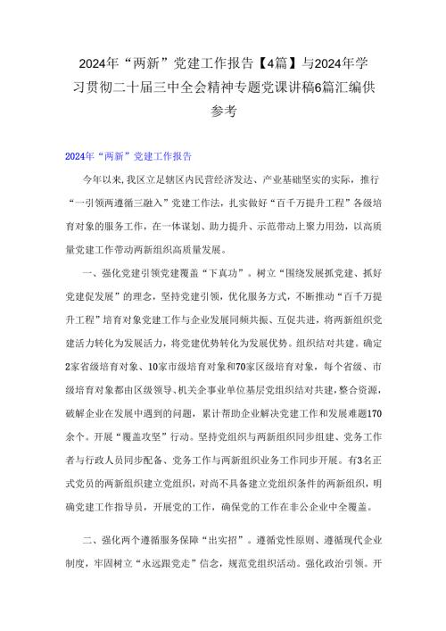 2024年“两新”党建工作报告【4篇】与2024年学习贯彻二十届三中全会精神专题党课讲稿6篇汇编供参考.docx