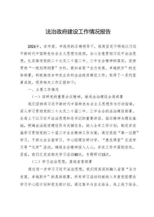 法治政府建设工作情况报告.docx