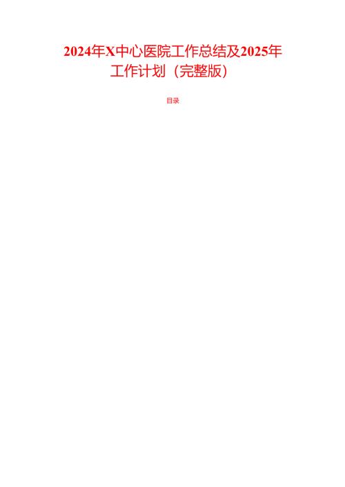 2024年X中心医院工作总结及2025年工作计划.docx
